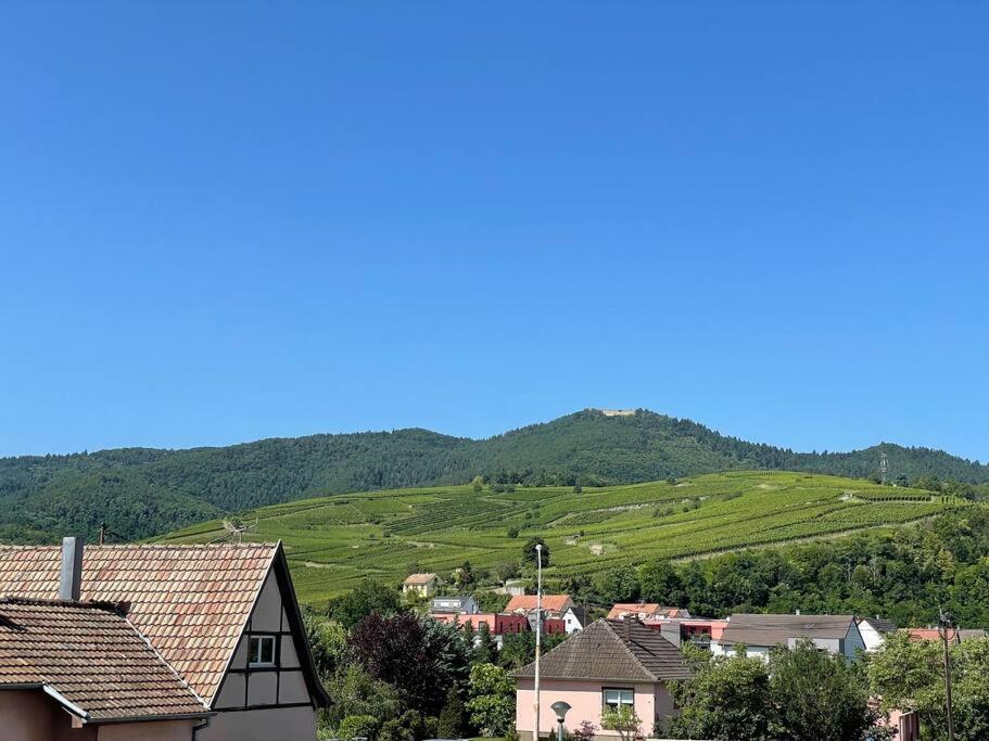 A2 Pas De Colmar Terrasse,Parking Apartment Wintzenheim Bagian luar foto