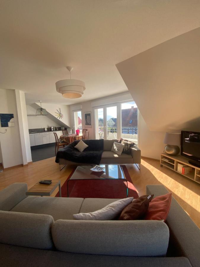 A2 Pas De Colmar Terrasse,Parking Apartment Wintzenheim Bagian luar foto