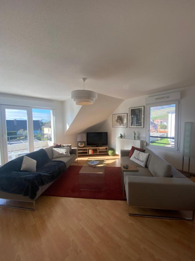 A2 Pas De Colmar Terrasse,Parking Apartment Wintzenheim Bagian luar foto