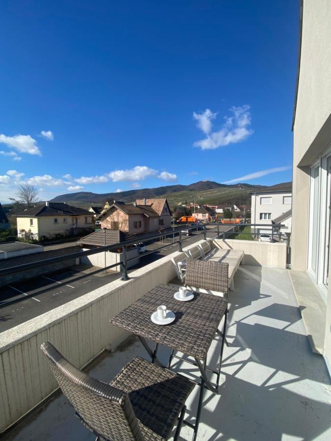A2 Pas De Colmar Terrasse,Parking Apartment Wintzenheim Bagian luar foto
