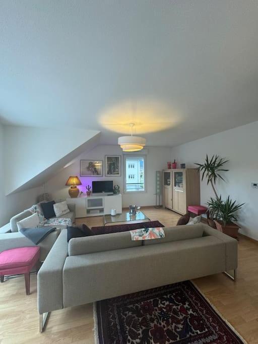 A2 Pas De Colmar Terrasse,Parking Apartment Wintzenheim Bagian luar foto